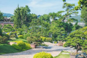 da-lat-thang-12-co-gi-choi