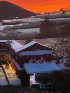 dia-diem-chup-hinh-giang-sinh-o-Da-Lat-dep