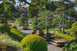 tan-huong-tron-ven5-hanh-trinh-check-in-da-lat-trong-1-ngay