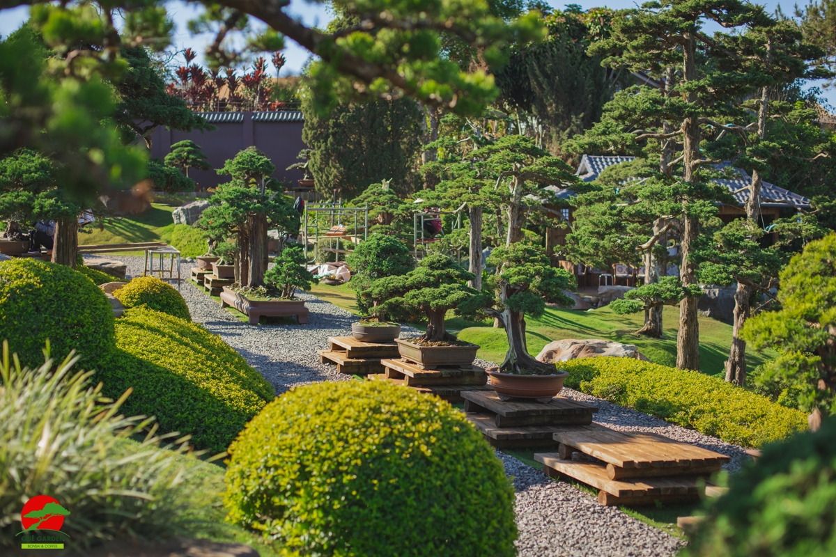 tan-huong-tron-ven5-hanh-trinh-check-in-da-lat-trong-1-ngay