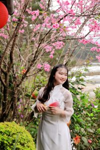 kinh-nghiem-du-lich-Tet-da-lat-choi-gi-o-dau-va-cach-di-chuyen