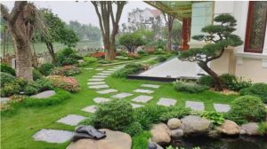 phong-thuy-san-vuon-nhat-nghe-thuat-tao-khong-gian-hai-hoa-thinh-vuong