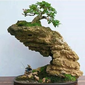 nghe-thuat-Penjing-ve-dep-tinh-te-cua-thien-nhien-thu-nho